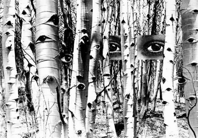 Family Ties: Continuing the Creative Legacy